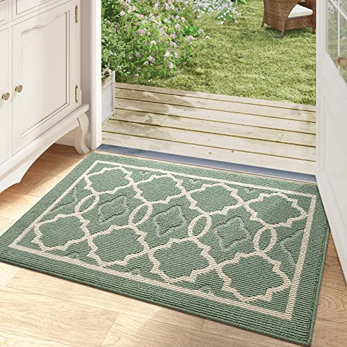DEXI Door Mat 50 x 80 cm, Doormat Indoor Dirt Trapper Non-slip, Machine Washable Entrance Rug Floor Mat, Super Absorbent Inside Front Door Mat Carpet, Green