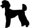 tradercat Auto Aufkleber Pudel Hund - Sticker für alle Oberflächen - Fenster, Seitenspiegel, Heckscheibe, Motorhaube, Fahrzeug – mit Anleitung (Silber, 50 x 49cm)