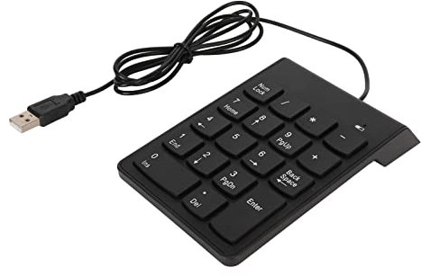 Bewinner Clavier Filaire USB C avec pavé Numérique, Clavier Numérique Mince à 18 Touches, Clavier de comptabilité Financière Portable, Extensions Clavier USB Externe à 18 Touches pour