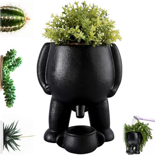 DXQCHDUO Petit pot de fleurs amusant de pipi avec trou de drainage pour intérieur/extérieur (noir)