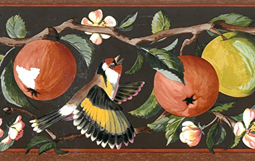 Dundee Deco BD6145 Tapeten Bordüre, vorgeklebt, Blumenmuster, Braun, Rosa, grüne Äpfel auf Weinrebe, Vögel, Wandbordüre, Tapetenbordüre Retro-Design, 4,57 m x 17,5 cm