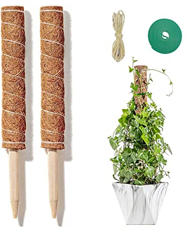 Kokosstab, Moosstab, 2 Stück 40 cm Kokosstab für Pflanzen, Rankhilfe Zimmerpflanzen, Pflanzstab Monstera, mit Schnur und Krawatte Geeignet zur Unterstützung des Pflanzenwachstums Braun