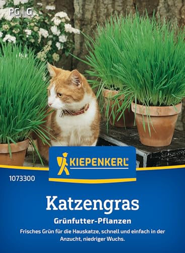 Kiepenkerl Katzengrassamen Frischgrün Mischung 1073300 - frisches Grün - schnell und einfach - niedriger Wuchs - Gräser, Pflanzensamen, Saatgut