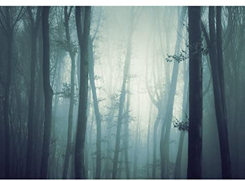 Runa Art Papier peint intissé Mural forêt brouillard Moderne Toison Salon Chambre à Coucherr Salle - Tableaux Muraux Tapisserie Photo - bleu 9291010a