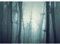 Runa Art Papier peint intissé Mural forêt brouillard Moderne Toison Salon Chambre à Coucherr Salle - Tableaux Muraux Tapisserie Photo - bleu 9291010a