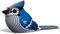 EUGY 067 Blue Jay Eco-Friendly 3D Paper Puzzle