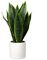 Briful Künstliche Sansevieria Zimmerpflanze Kunstpflanze Dekopflanze in Weißem Keramiktopf Weiß Höhe 40.6cm (Grün)