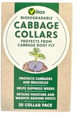 Vitax Biodegradable Cabbage Collars – Root Fly Protection, Prevents Weeds & Retains Moisture, 8cm Diameter Pack of 30 – For Cabbage, Cauliflower, Broccoli, & Brussels Sprouts (One Pack)