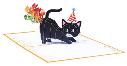 Geburtstagskarte Katze,3d Geburtstagskarte,Stereo Lustige Regenbogenfurz GlüCkwunschkarte Mit Schwarzer Katze,Lustige Happy Birthday Karte,Geeignet Zum Verschenken MäNner,Women,Katzenliebhaber.
