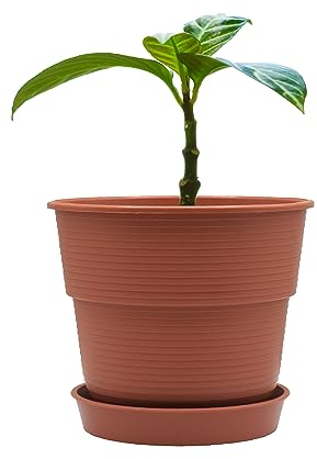 Plastard Blumentopf Milano 20 cm Durchmesser mit passenden Untersetzer Farbe Terrakotta Übertopf Blumenkübel für Garten Balkon Terrasse Pflanztopf