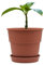 Plastard Blumentopf Milano 20 cm Durchmesser mit passenden Untersetzer Farbe Terrakotta Übertopf Blumenkübel für Garten Balkon Terrasse Pflanztopf