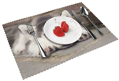 Husky Dog Print Esstisch-Tischsets Set von 6, Tischsets, Dekoration, rutschfest, hitzebeständig, wärmeisoliert, für Tisch, Küche, Esszimmer