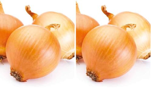 Germisem Valenciana Tardia Semillas de Cebolla 3 g, EC1003 (Paquete de 2)