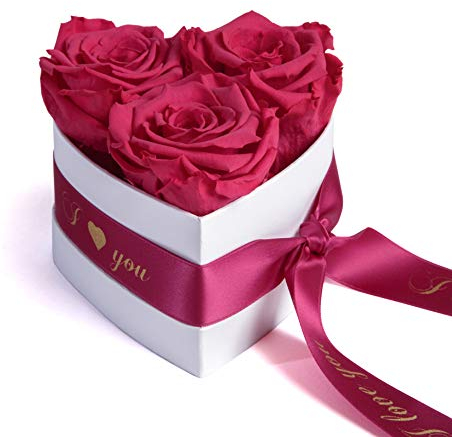 ROSEMARIE SCHULZ Heidelberg Infinity Rosenbox Herz - 3 ewige Rosen Fuchsia in Box 10x12cm haltbar 3 Jahre - persönliche Freundin Geschenke (I Love You, Pink)