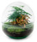 Terrario de Plantas • Cúpula Roja • Planta de ecosistema • ↑ 20 cm