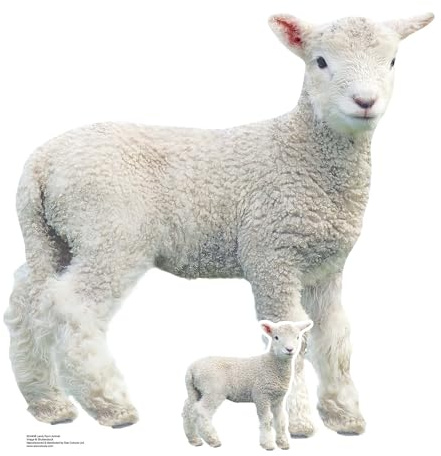 Star Cutouts SC4438 Lamb Farm Animal Cardboard Cut Out Height 74cm - Ideal for Animal Theme, Parties, Birthdays & Fans, Room Decorations & Events