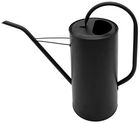Annaffiatoio per fiori in metallo nero opaco, 3 l, con beccuccio lungo, per piante da camera, ufficio, brocca per acqua elegante