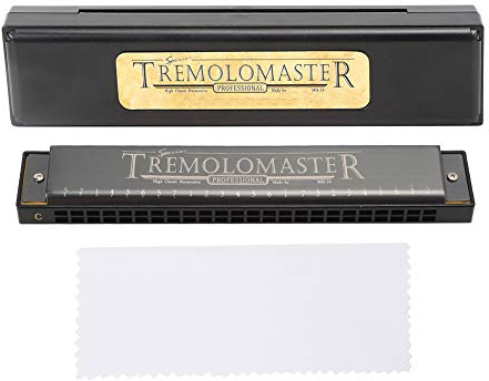C-Taste 24-Loch Harmonica Professional Mouthorgan Blasinstrument Zubehör(Mattschwarz)