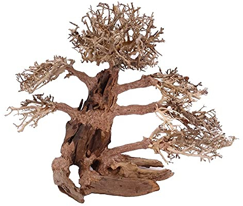 XXL Bonsai Baum Nr.13008 Wurzel Holz Aquarium Deko Aquascaping Bonsaibaum Dekoration Landschaft Moos Natur