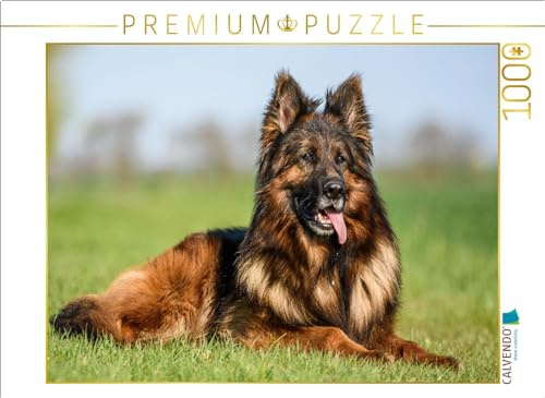 CALVENDO Puzzle Wunderschöner Schäferhund Rüde | 1000 Teile Lege-Größe 64 x 48 cm Foto-Puzzle für glückliche Stunden
