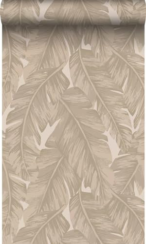 Origin papier peint feuilles de palmier beige 50 x 900 cm Wallcoverings