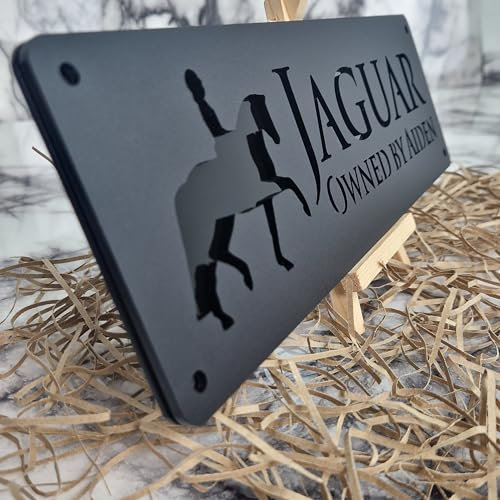 Black Mirror and Matt Black Personalised Horse stable Pony laser cut name door plate sign (L3-Trotting Horse)