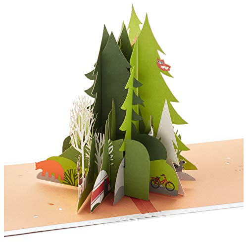Hallmark Pop Up Geburtstagskarte für Ihn (Adventure Awaits) Signature Paper Wonder 3D Karte