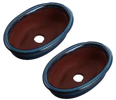 Small Ceramic Bonsai Pot: 2PCS Glazed Bonsai Pots Ceramic Succulent Planter Pot with Drainage Hole, Decorative Planter Pots Cactus Bowl Planter for Home Office