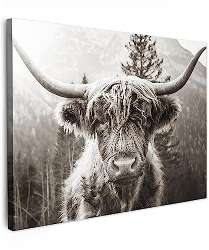 MuchoWow© Leinwand 70x50 cm Deko Schlafzimmer Aesthetic Leinwandbilder Wohnzimmer Gemälde Foto Geschenk Living Room Decoration Schottisches Hochlandrind - Kuh Bild - Tiere - Schwarz und Weiß