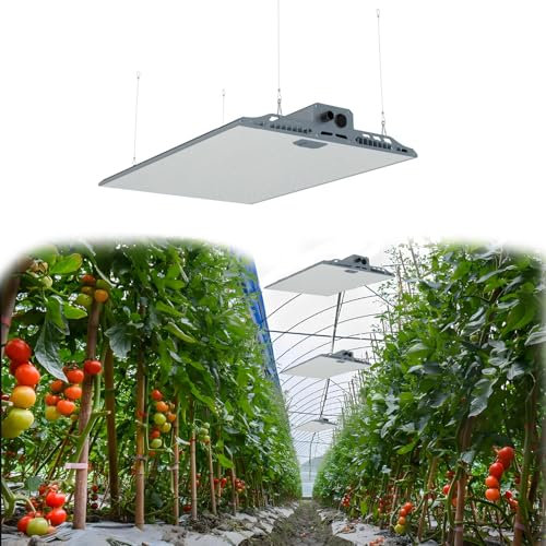 RAIKOU Pflanzenlampe 100w Led Vollspektrum Pflanzenlichter Wachsen Licht Anzucht Lampe Groß Weiß für Pflanzenlicht zimmerpflanzen Tomaten Gemüse Hängend (100W)