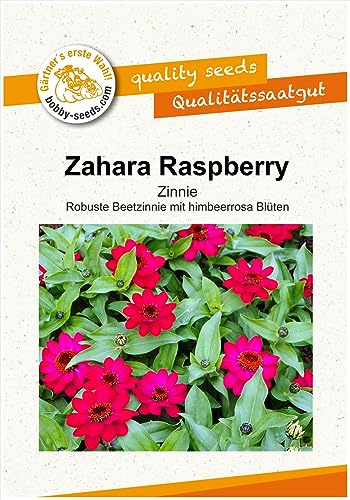 Blumensamen Zahara Raspberry Zinnie Portion