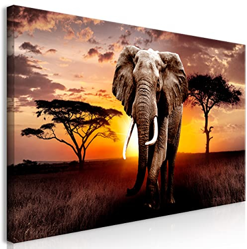 decomonkey | Mega XXXL Bilder Afrika Elefant | Wandbild Leinwand 165x110 cm Selbstmontage DIY Einteiliger XXL Kunstdruck zum aufhängen | Landschaft Sonnenuntergang