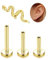 Adramata G23 Titan Helix Tragus Piercing Innengewinde Labret Lippenpiercing Medusa Medizinische Ohrstecker Ohr Klein Conch Gold Silber