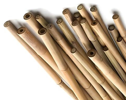 Bamboo Canes 120cm Heavy Duty Bamboo Sticks for Plants Strong Durable Garden Canes for Tomato Plant Support Climbing Plants Fencing & Trellis Weather Resistant Bamboo Sticks & Poles
