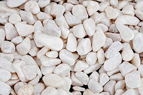 Gravier pour Jardin et décoration à l'intérieur et à l'extérieur (Blanc, 4,5Kg)