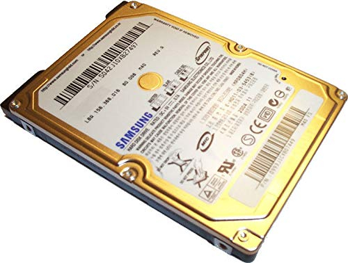 IBM 60 GB SATA HM060II interne Festplatte
