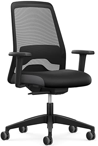 Interstuhl Bürostuhl Every Sondermodell - Schreibtischstuhl ausgestattet mit Synchronmechanik und Verstellbarer Lordosenstütze für ergonomisches Sitzen - Made in Germany (EV25R - Netzrücken)