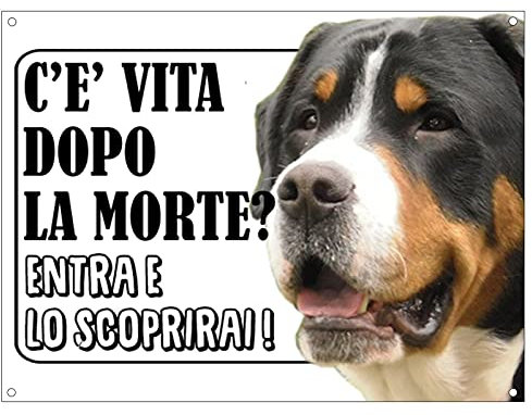 CARTELLO ATTENTI AL CANE - GRAND BOVARO SVIZZERO c'è vita dopo la morte, entra e lo scoprirai - Con Adesivo in Vinile e Pannello in Forex (Pannello 5mm Stampato)