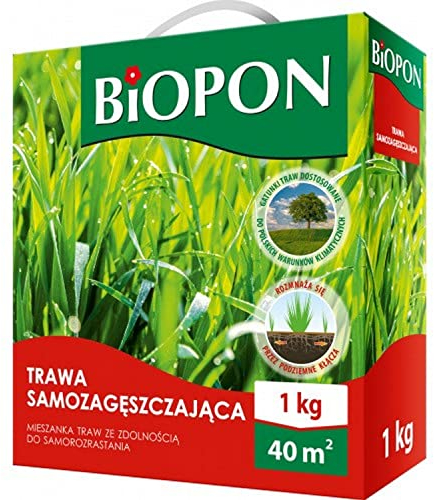 BioPon Lawn Seed 1 kg versatile - Semi di erba resistenti al calpestio - 1 kg di semi per 40 m² prato - Semina efficiente per un bel giardino