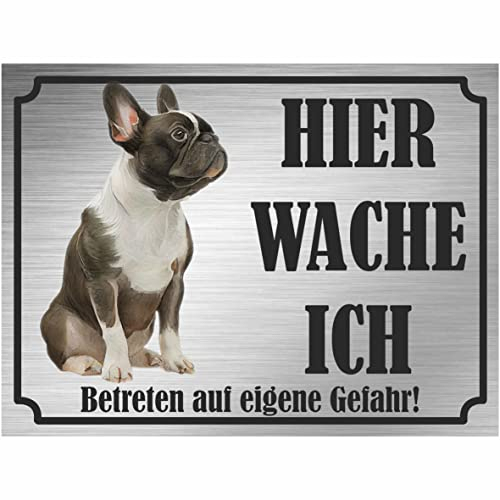 INDIGOS UG - Französische Bulldogge - Schild bedruckt - Hier wache ich - Aluverbundplatte Edelstahl Look - ab 20x15 cm - Spruch - Deko Geschenkidee für Ihren Hund - Zaun - Türschild