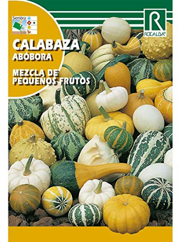 Semillas de Calabaza mezcla de pequeños frutos