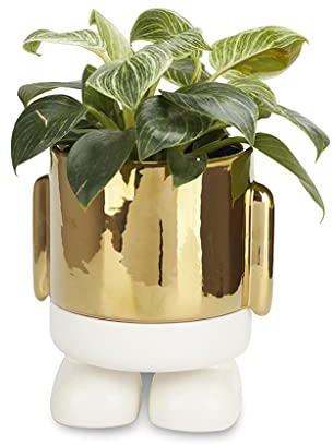 Balvi Pot de Fleurs MrStandy Gold Edition Couleur Doré Ce Pot élégant ne Passe Pas inaperçu sur Votre