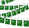 30 Stück Pakistanische Flaggenschnur, 90 m Pakistanische Wimpelkette, Dekorationsbanner für Außen- und Innenbereich, Terrasse, Hofdekoration