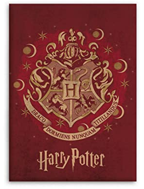 HARRY POTTER 0, Poliestere, Color, único
