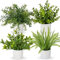 Oairse Small Artificial Plant Set of 4 Fake Plants Potted Mini Artificial Plants Indoor Faux Boston Fern Eucalyptus Rosemary Decorative House Plant for Home Bathroom Office Shelf Desk Decor