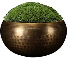 Simulation Topfpflanzen Bonsai Baum Desktop Mini Künstliche Pflanze Golden Copperware Unsterbliches Moos Mikro Landschaft