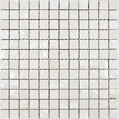 WC_f Lot de 10 Carreaux Mosaique en Céramique Aspect Pierre Blanc