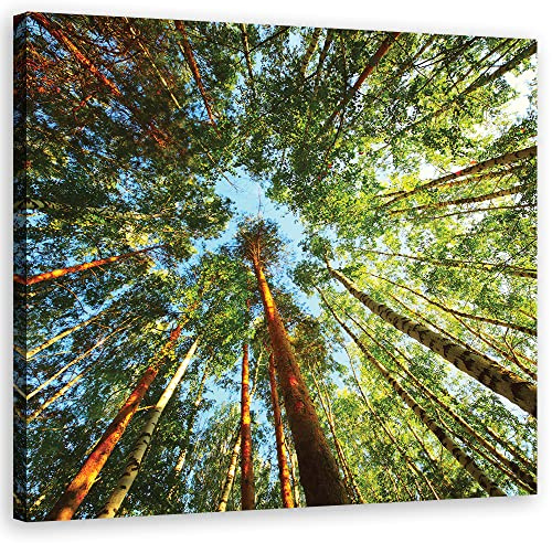 Feeby Vlies Leinwandbild XXL Wald Himmel Baumkronen 80x80 cm Wandbild Kunst Bilder Schlafzimmer Deko Wohnzimmer Natur Sonnentag Grün