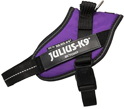 Julius-K9, IDC Powergeschirr, Größe: S/Mini, Dunkelviolett