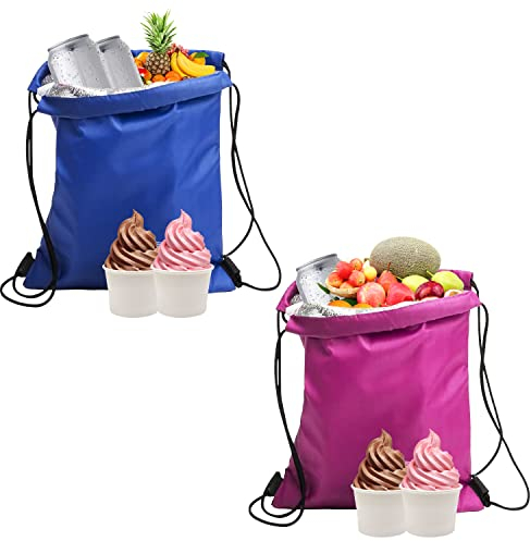 2 Pack Insulated Drawstring Cooler Bags, Waterproof Collapsible Lunch Bags for Work, School, Beach, Picnic (27 * 33cm)